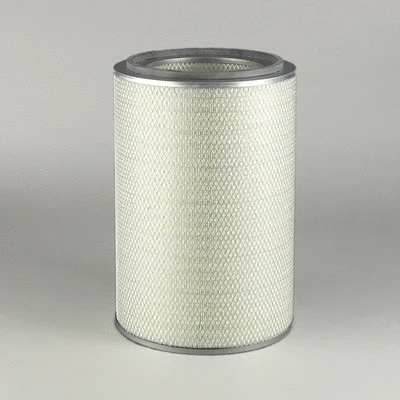 Air Filter (P772521)