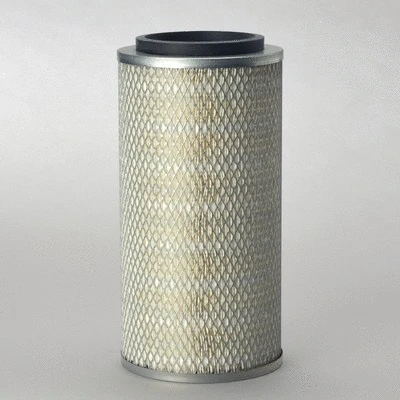 Air Filter (P771557)