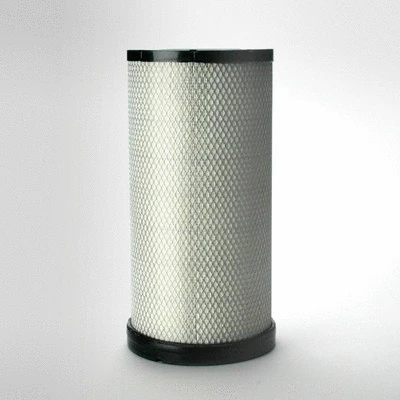 Secondary Air Filter (P533884)