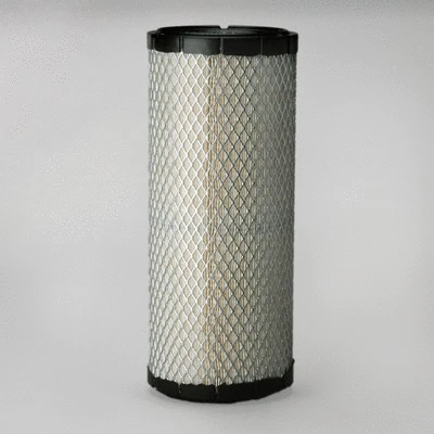 Air Filter (P822768)