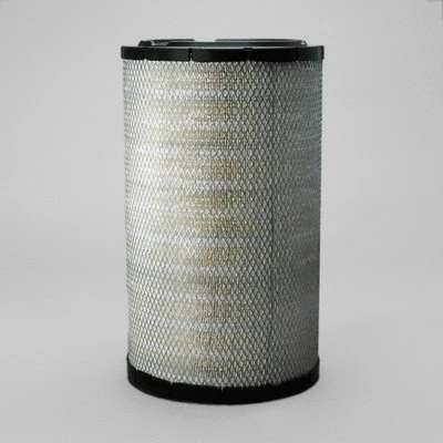Air Filter (P780911)
