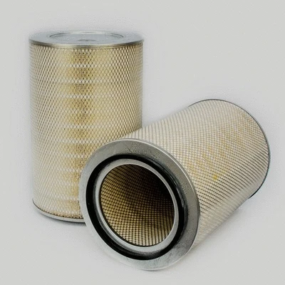 Air Filter (P771558)