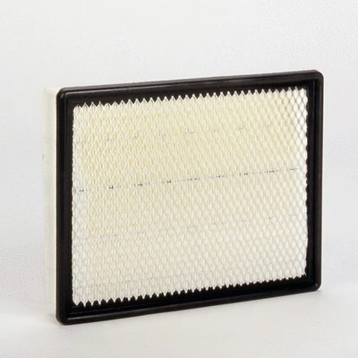 Air Filter (P548963)