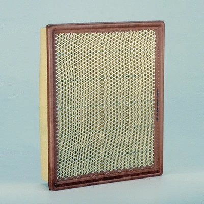 Air Filter (P602657)