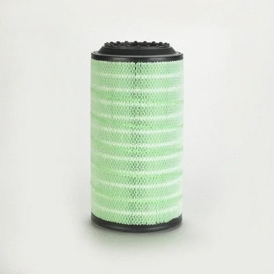 Air Filter (P784457)
