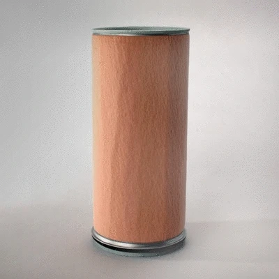 Secondary Air Filter (P787247)