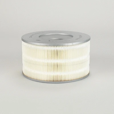 Air Filter (P500124)