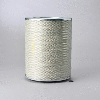Air Filter (P181056)