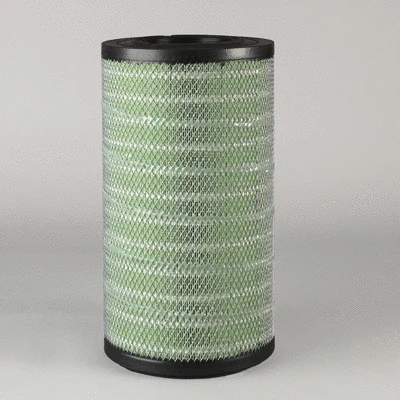 Air Filter (P951919)