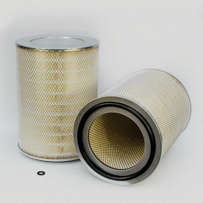Air Filter (P772523)