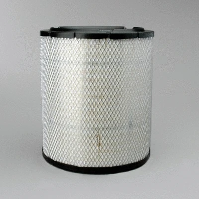 Air Filter (P532473)