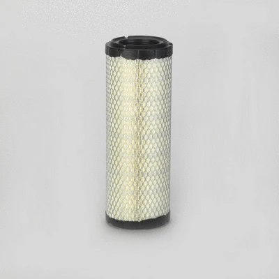 Air Filter (P772578)