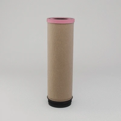 Secondary Air Filter (P955466)