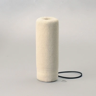 Fuel Filter (P550552)