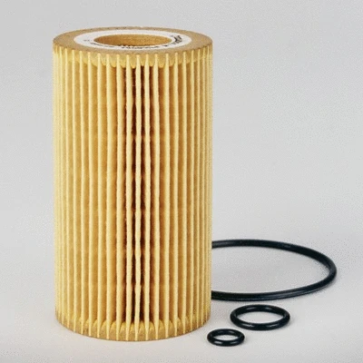 Oil Filter (P550564)