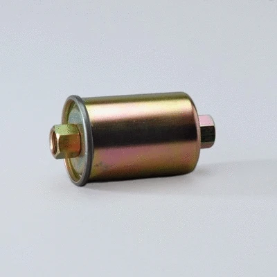 Fuel Filter (P550209)