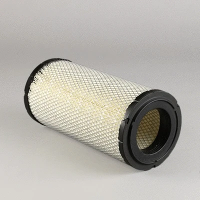 Air Filter (P772580)