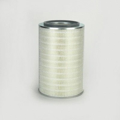 Air Filter (P778613)