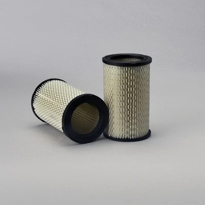 Air Filter (P526873)