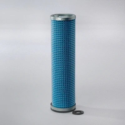 Secondary Air Filter (P123160)