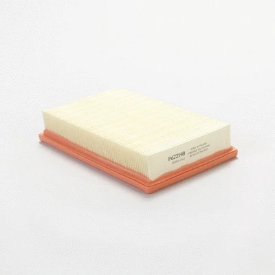 Air Filter (P622148)