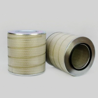 Air Filter (P778605)