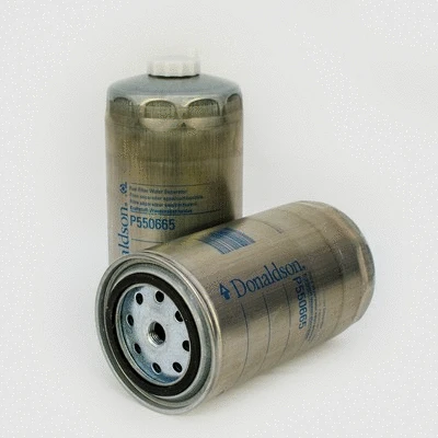 Fuel Filter (P550665)