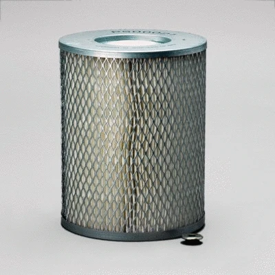Air Filter (P500021)