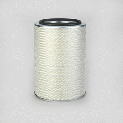Air Filter (P778485)