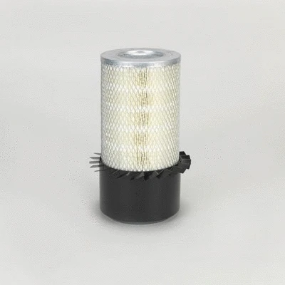 Air Filter (P771538)