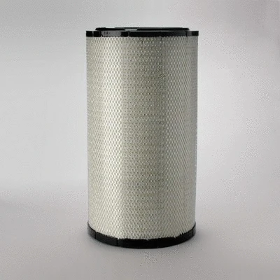 Air Filter (P777871)