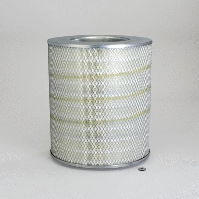 Air Filter (P539462)