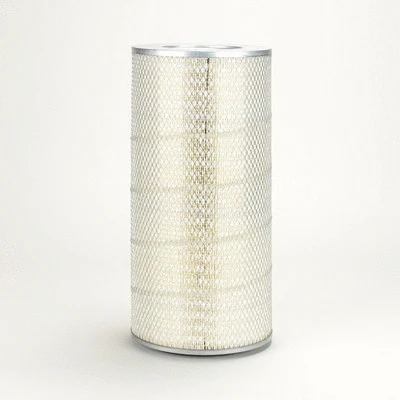 Air Filter (P136405)