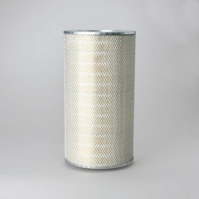 Air Filter (P182082)