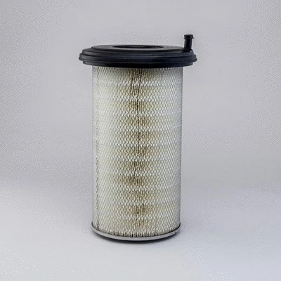 Air Filter (P775896)