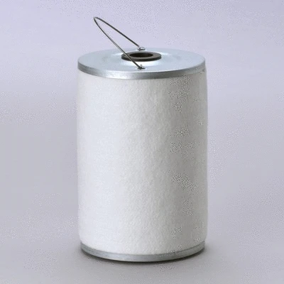 Fuel Filter (P502131)