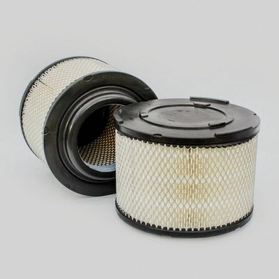 Air Filter (P902609)
