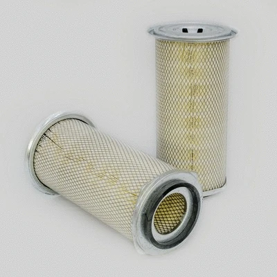 Air Filter (P772529)