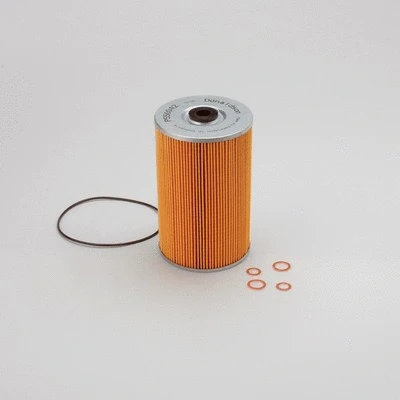 Fuel Filter (P550042)