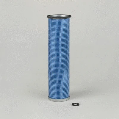 Secondary Air Filter (P770960)