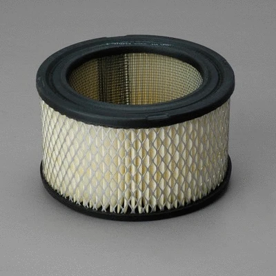Air Filter (P607234)