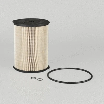 Oil Filter (P550493)