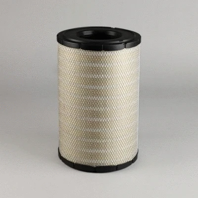 Air Filter (P812559)
