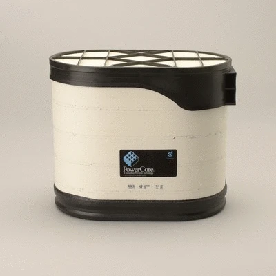 Air Filter (P608676)