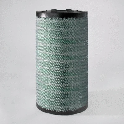 Air Filter (P786443)