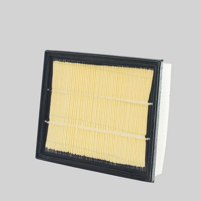 Air Filter (P506007)