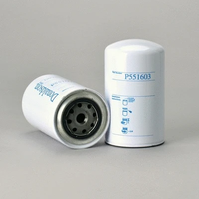 Oil Filter (P551603)
