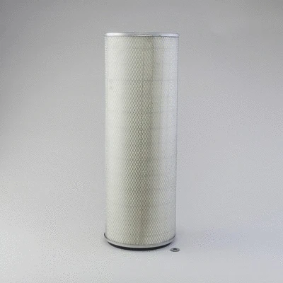 Secondary Air Filter (P546762)