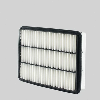 Air Filter (P505983)