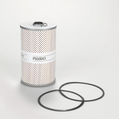 Fuel Filter (P550043)